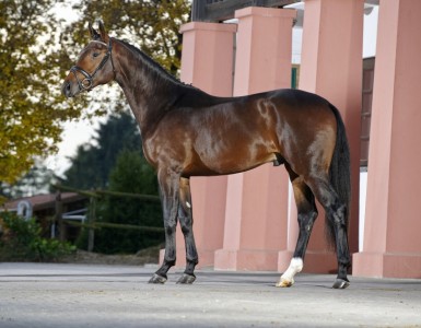 foto Guido Recki