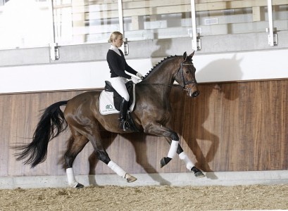 foto's Guido Recki
