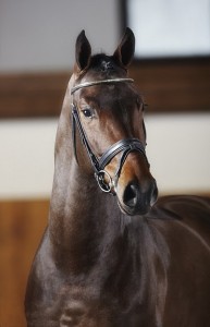 foto's Guido Recki