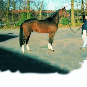 Balou du rouet