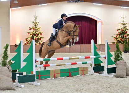 paard-dia-blue-mgf45331920x1920.jpg