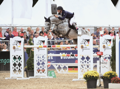 paard-diaron-133916.png