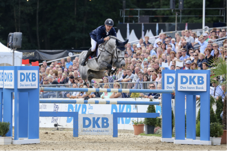 paard-diaron.png