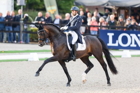 paard-escamillo-ermelo-2022-ll-fotode1920x1920.jpg