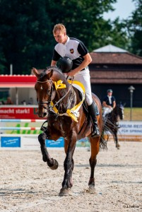paard-galerie601-karajan-fellner2x.jpeg