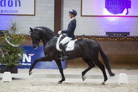 paard-im-134244.jpg