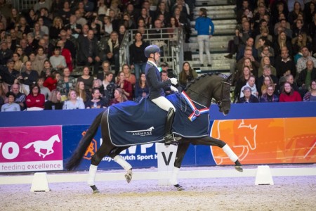paard-im.jpg