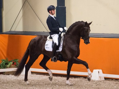 paard-kyton-en-kannan-jr-tweede-in-aanlegtest-kwpn-hengstenkeuring.jpeg