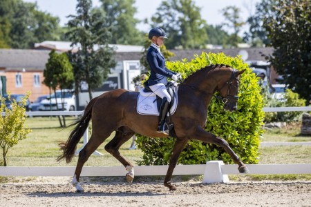 paard-lynnthomasjessicasweboncourage4sl995-005-092.jpeg