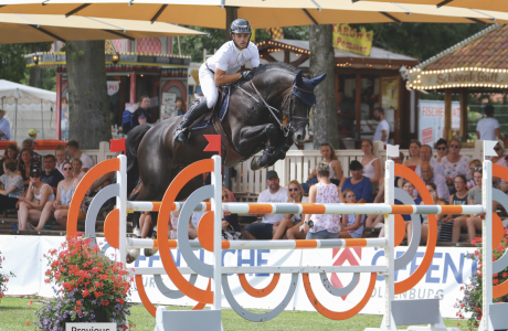 paard-schermafbeelding-2021-02-03-om-131945.png