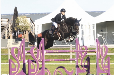 paard-schermafbeelding-2021-02-03-om-132023.png