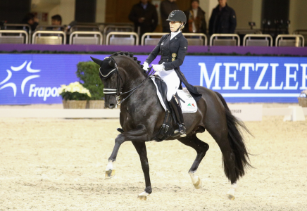 paard-total-hope-draf.png