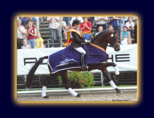 9 MAART: HENGSTENSHOW Zilveren Spoor