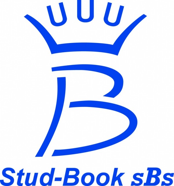 SBS stamboek geeft volle steun aan dressuur !