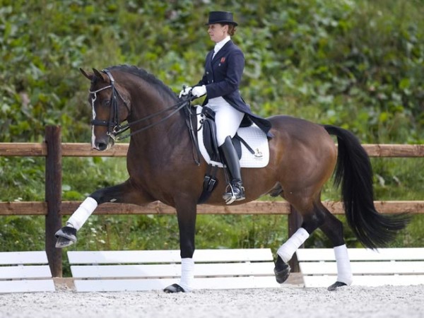 CHIO Aken: Chequille goed op dreef !!