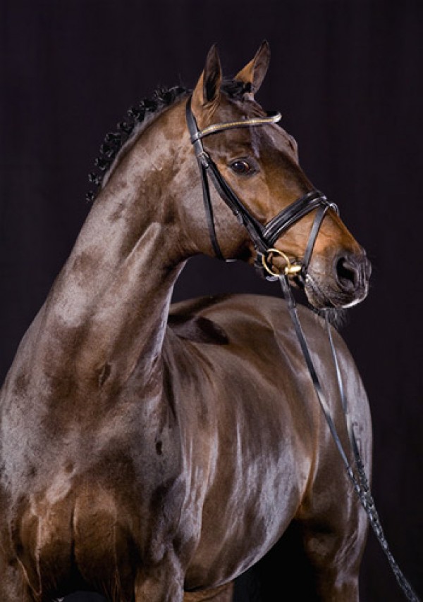 Carabas wint Grand Prix en wordt kampioen van Hessen