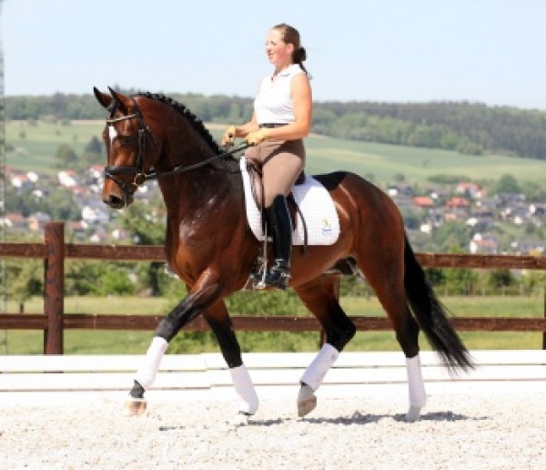 Fifty Cent en Curator weer goede resultaten!