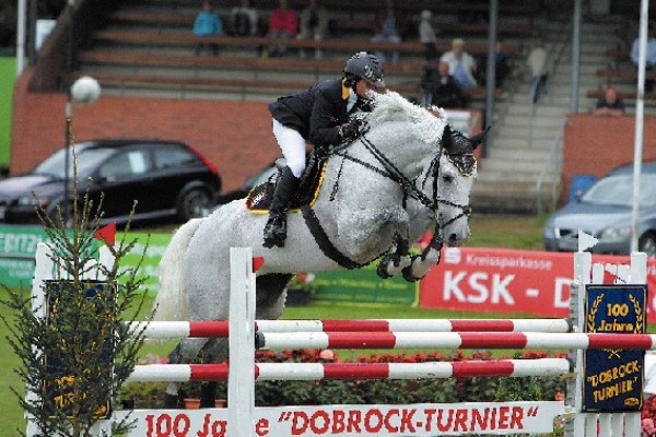 Chacco Blue, Clinton II en San Amour beschikbaar