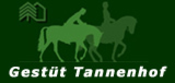 Hengstenshow Tannenhof groot succes