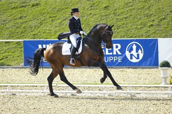 Rigamento zet zich door in de dressuursport