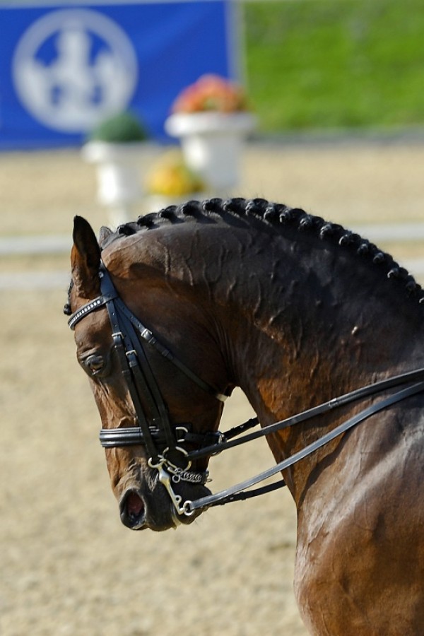 Rigamento wint kwalificaties Nurberger Burgpokal