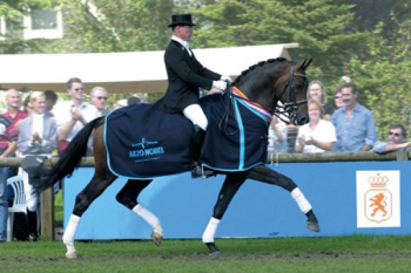 Olivi en Quite Magic aan bestand toegevoegd