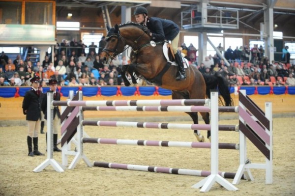 Kaartenverkoop Hengstenshow 14 maart gestart