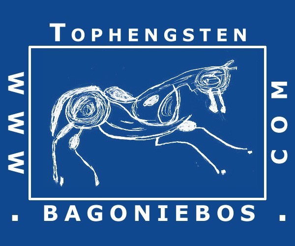 Bericht aan onze fokkers: dekbewijzen