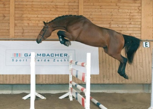 Chin Quidam toegevoegd aan collectie!