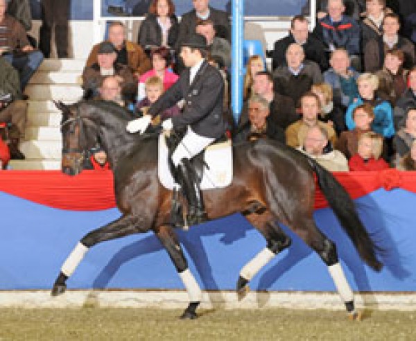 Eerste veulen Rosengold: video