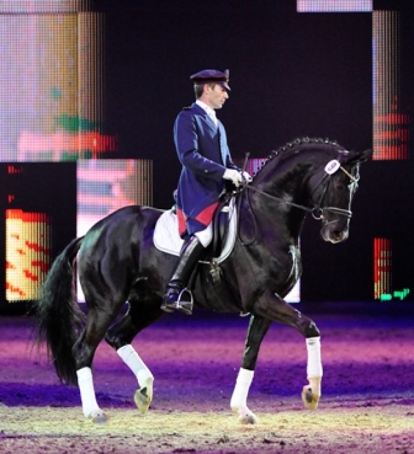 Dancier komt naar Hengstenshow 1 April!