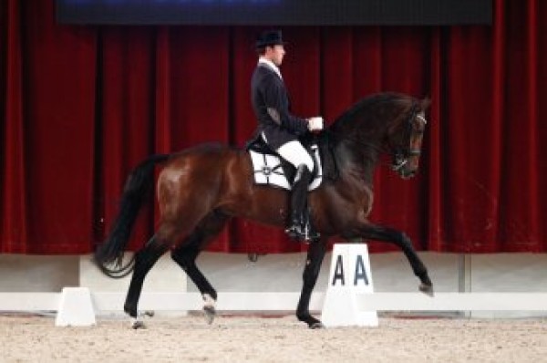 Clinic Laurens Van Lieren op Hengstenshow