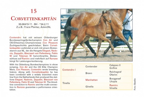Contendro veulen van Fam. Plantaz in elite veiling Oldenburg.