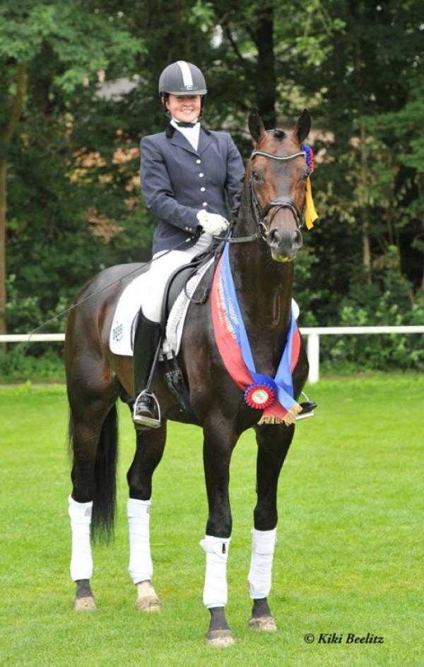 Diamo Gold: Landeschampion van Oldenburg!