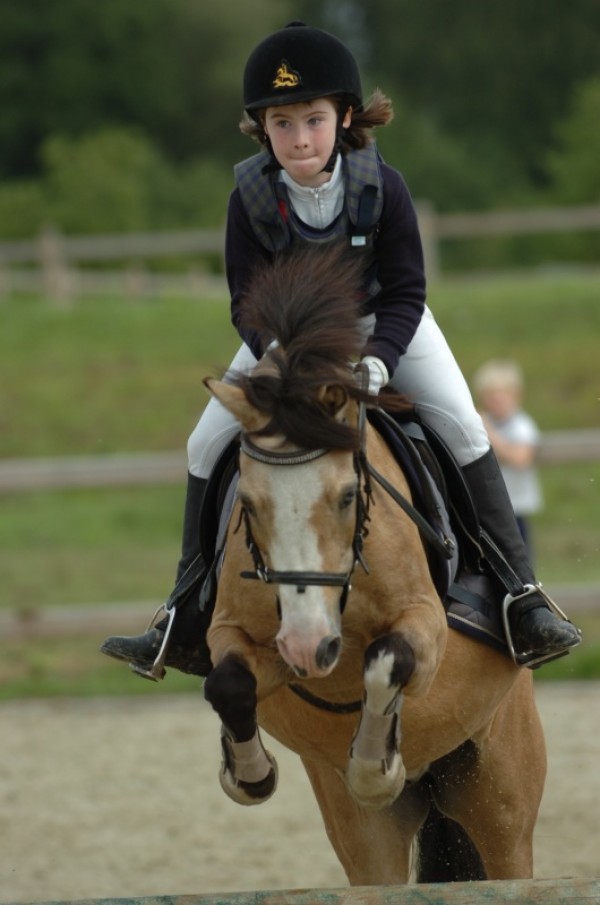 21 jarige A-pony plots in de belangstelling!