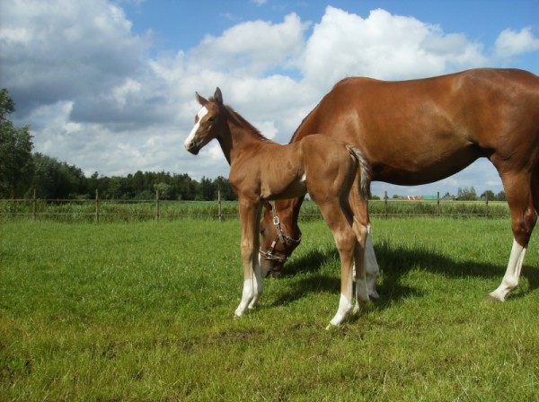 Pashmina laatste maal mama geworden dit jaar!