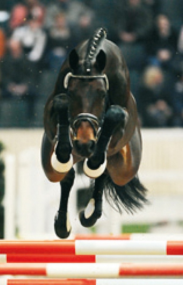 Chacco Chacco wint wederom!