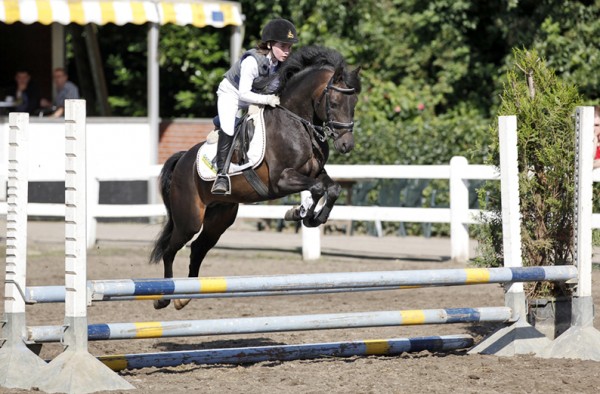 Ponyfokkers opgelet! Rakker L toegevoegd aan de collectie!