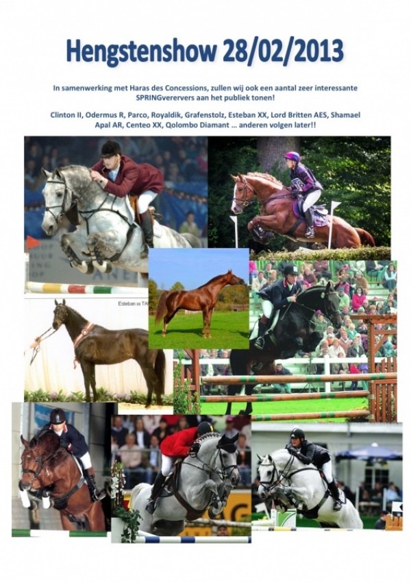 Ook zeer interessanter SPRINGHENGSTEN op onze show!