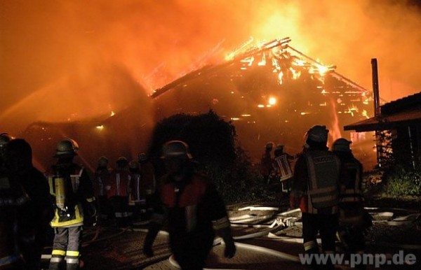 Dramatische Brand op Hengstation Bachl: 35 paarden omgekomen!