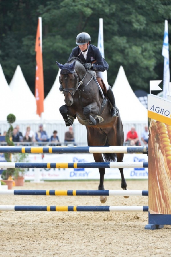 Casidall en Castelan II aan springpaarden toegevoegd!