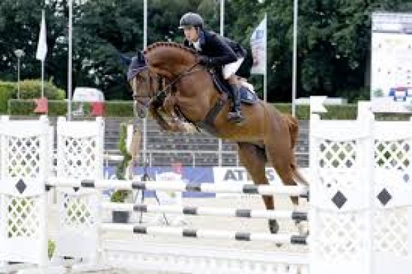 Chacfly PS: Onze tip voor de springpaardenfokkers!