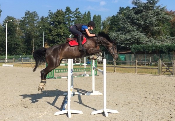 Anouk en Atlantic MZ ook op Nationale finale in Oud Heverlee in goede doen.